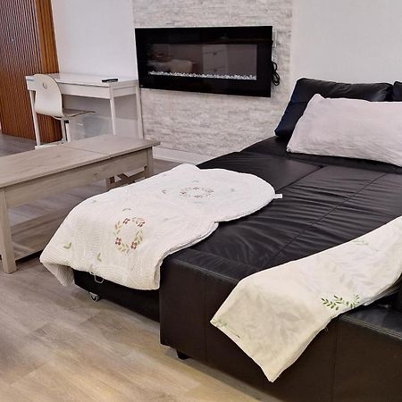 Independent Basement Studio Suite أوتاوا المظهر الخارجي الصورة